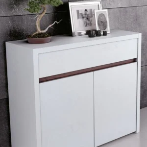 SAPATEIRA COM 2 PORTAS E GAVETA